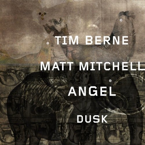 Tim Berne & Matt Mitchell - Angel Dusk (2018)
