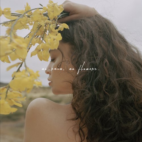 Sabrina Claudio - No Rain, No Flowers (2018) FLAC