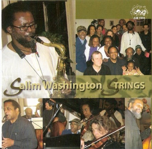 Salim Washington - Strings (2009)