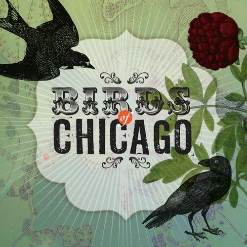 Birds of Chicago - Birds of Chicago (2012)