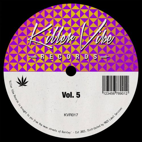 VA - Vibes Vol. 5 (2018)