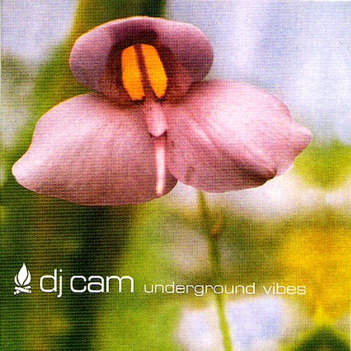 DJ Cam - Underground Vibes (1995) FLAC