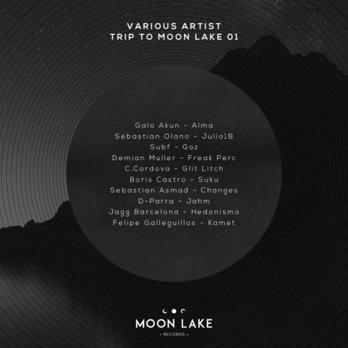 VA - Trip To Moon Lake 01 (2018)