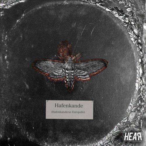 Hafenkande - Moth In Lights (2018)