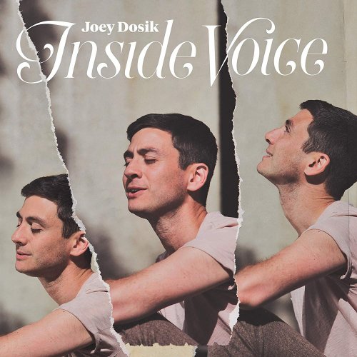 Joey Dosik - Inside Voice (2018) [Hi-Res]