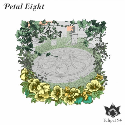 VA - Petal Eight (2018)