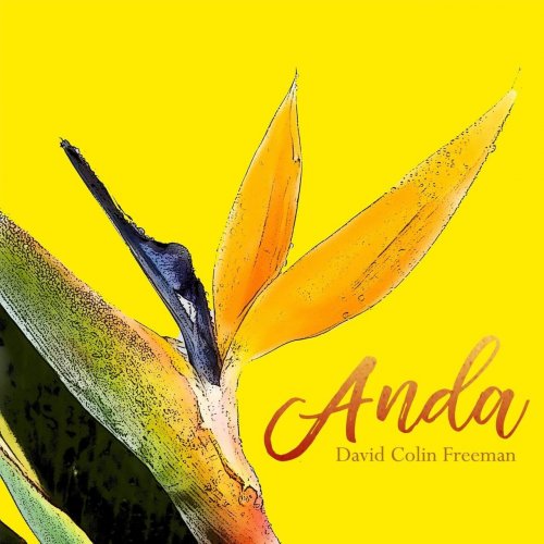 David Colin Freeman - Anda (2018)