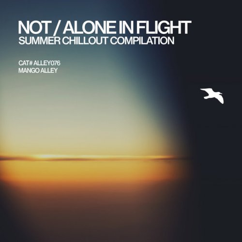 VA - Not/Alone in Flight (2018)