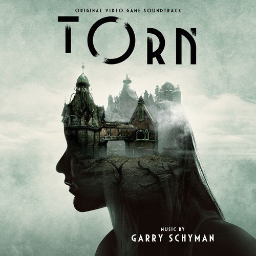 Garry Schyman - Torn (Original Game Soundtrack) (2018)