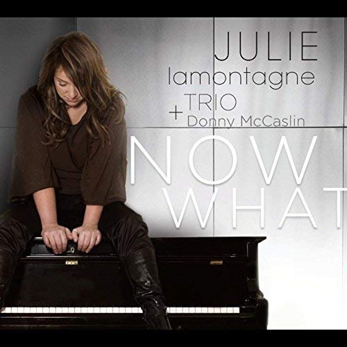 Julie Lamontagne Trio & Donny McCaslin - Now What (2009) FLAC