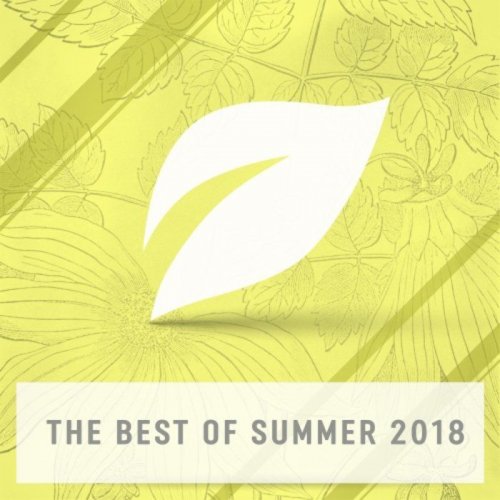 VA - The Best Of Summer 2018 (2018)