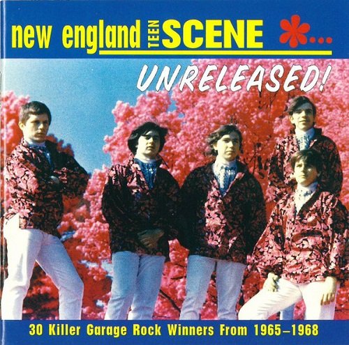 VA - New England Teen Scene...Unreleased! 30 Killer Garage Rock Winners From 1965-1968 (1996)