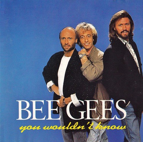 Bee Gees - You Wouldn't Know (1993)