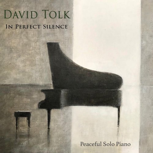 David Tolk - In Perfect Silence (2018)