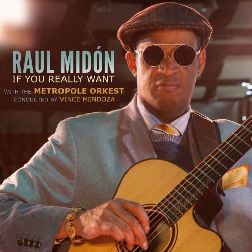 Raul Midón - If You Really Want (2018) [Hi-Res]