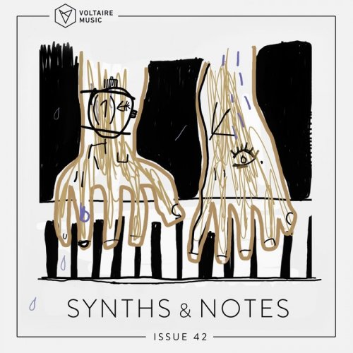 VA - Synths And Notes 42 (2018)