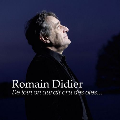 Romain Didier - De loin on aurait cru des oies (2011)