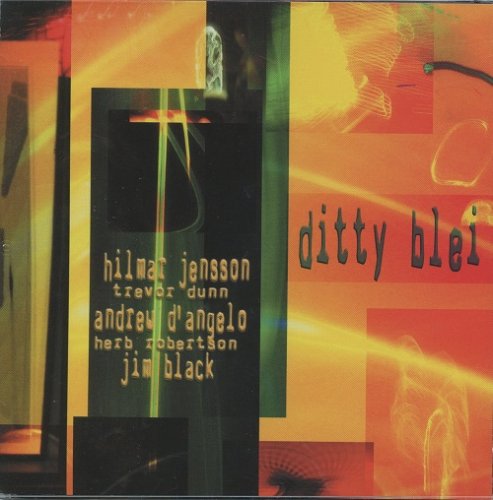 Hilmar Jensson - Ditty Blei (2004) [SACD]