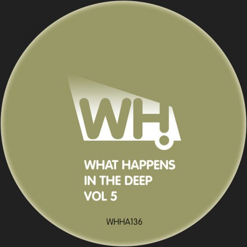 VA - What Happens In The Deep Vol 5 (2018)