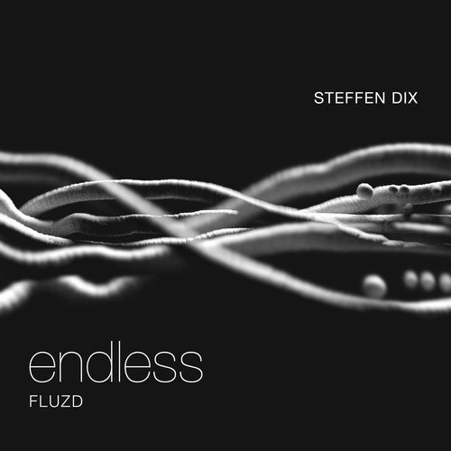 Steffen Dix - Endless - Fluzd (2018)