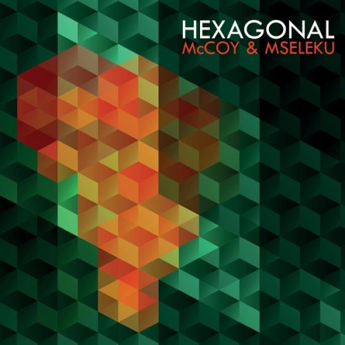 Hexagonal - McCoy and Mseleku (2018)