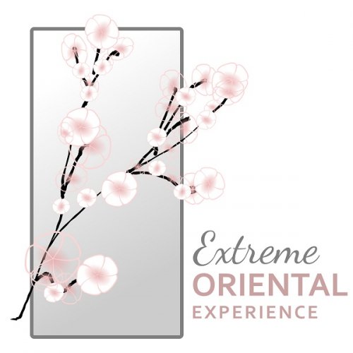 Healing Oriental Spa Collection - Extreme Oriental Experience: Traditional Chinese & Japanese Music with Nature, Relaxation & Meditation (2018)