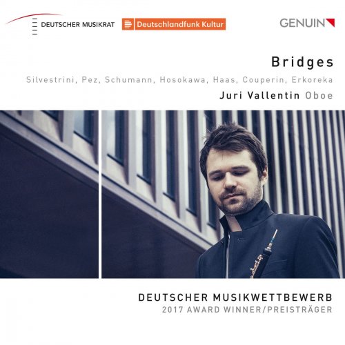 Juri Vallentin - Bridges (2018) [Hi-Res]