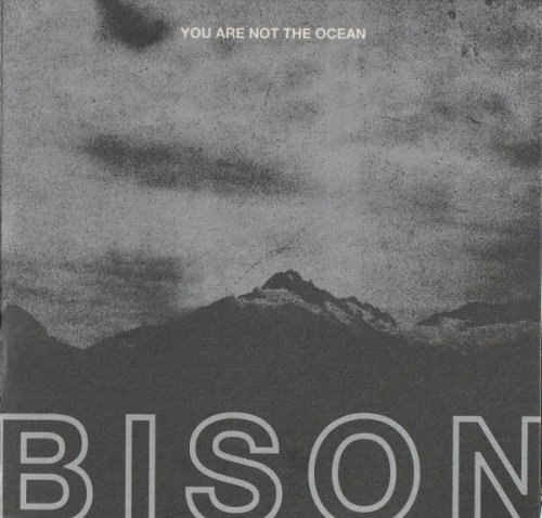 Bison - You Are Not The Ocean You Are The Patient (2017) LP