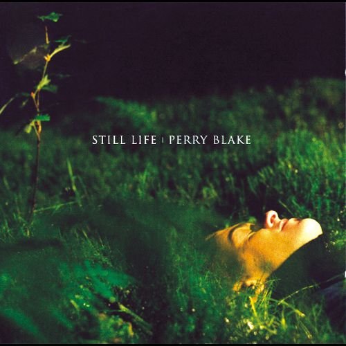 Perry Blake - Still Life (1999)