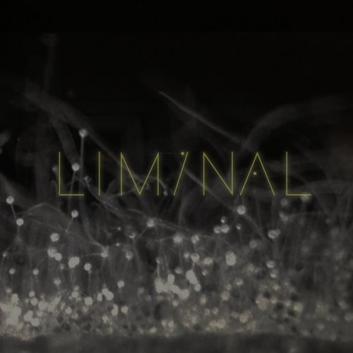 VA - Liminal 2 (2018) [Hi-Res]