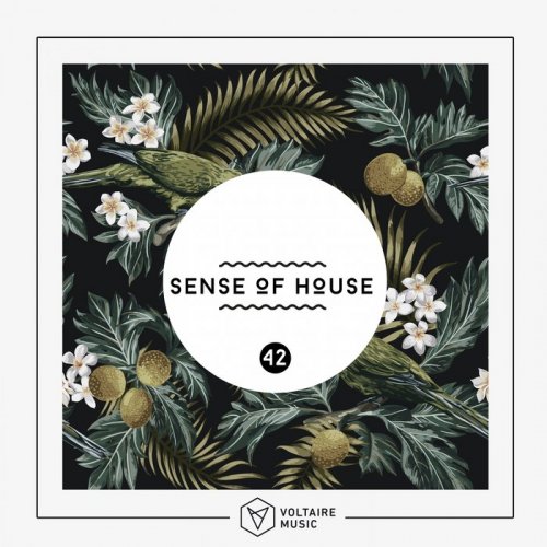 VA - Sense Of House, Vol. 42 (2018)