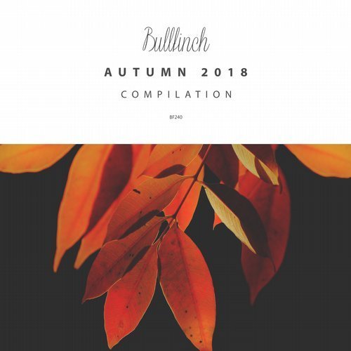 VA - Bullfinch Autumn 2018 Compilation (2018)