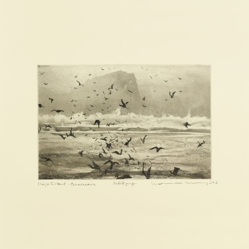 Erland Cooper & William Doyle - Murmuration (2018)