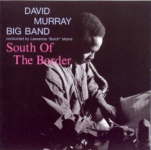 David Murray -  South of the Border (1995) 320 Kbps