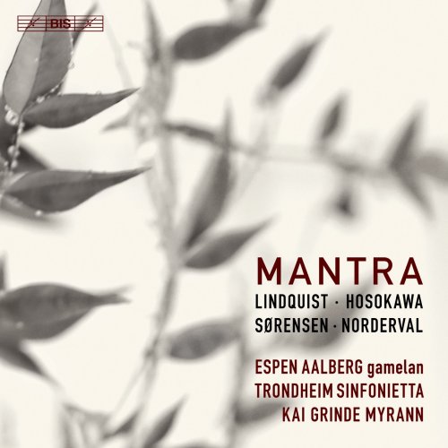 Espen Aalberg, Trondheim Sinfonietta & Kai Grinde Myrann - Mantra (2018) [Hi-Res]