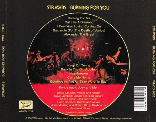 Strawbs - Burning For You (Reissue) (1977/2007)