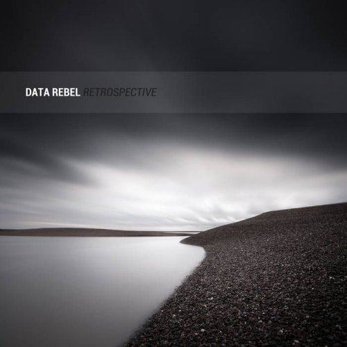 Data Rebel - Retrospective (2018)