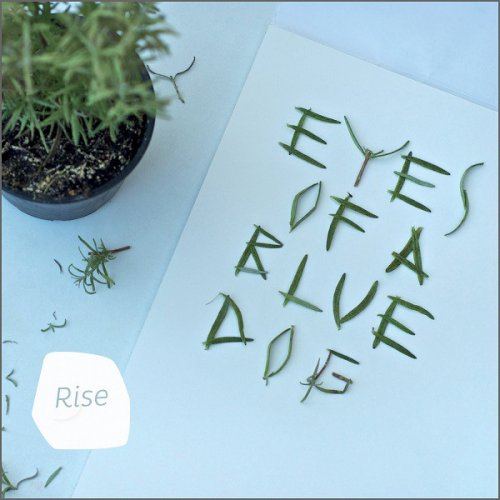 Eyes Of A Blue Dog - Rise (2013)