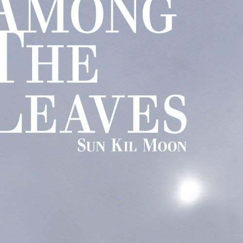 Sun Kil Moon - Among The Leaves (2012)