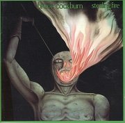 Bruce Cockburn - Stealing Fire (Reissue, Remastered) (1984/2003) Lossless