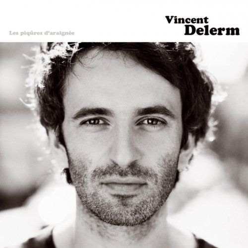 Vincent Delerm - Les piqûres d'araignée (2006)