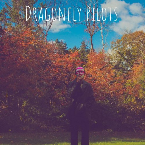 Paul Misterovich - Dragonfly Pilots (2018)