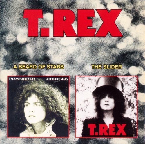T.Rex - A Beard Of Stars / The Slider (1970/1972) {2000, 2 Albums on 1 CD}